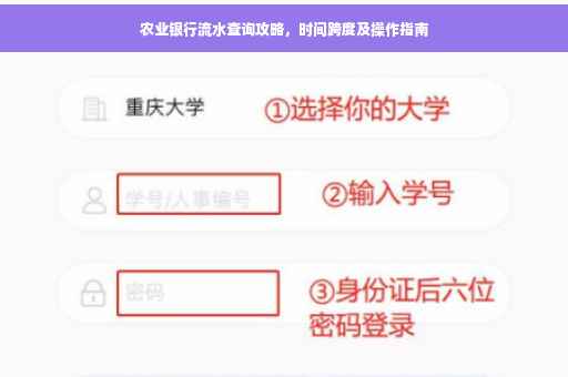 农业银行流水查询攻略，时间跨度及操作指南