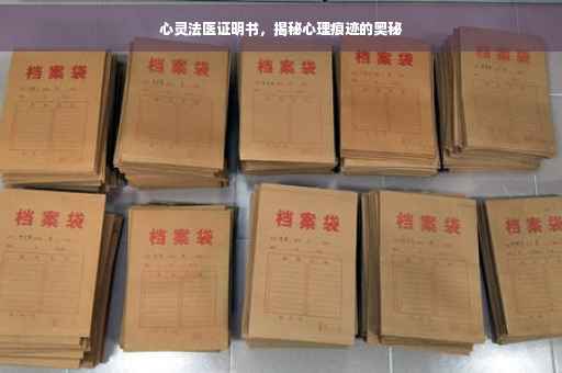 心灵法医证明书，揭秘心理痕迹的奥秘