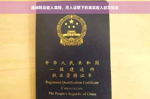 揭秘税后收入真相，月入证明下的真实收入状况探索