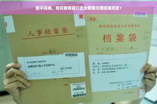 新手指南，如何查看银行流水明细办理按揭贷款？
