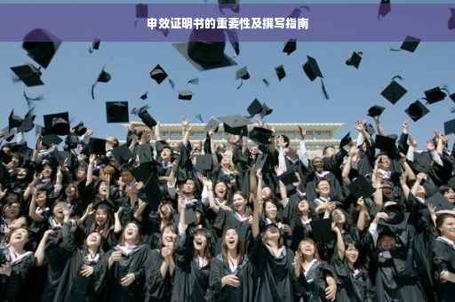 申效证明书的重要性及撰写指南