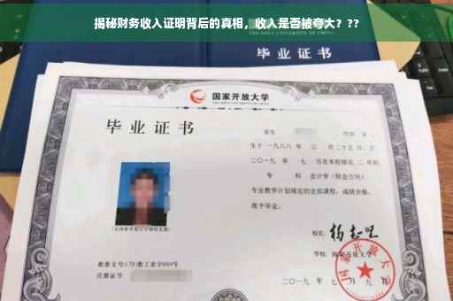 揭秘财务收入证明背后的真相，收入是否被夸大？??