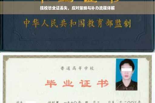 技校毕业证丢失，应对策略与补办流程详解