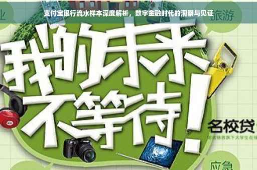 支付宝银行流水样本深度解析，数字金融时代的洞察与见证