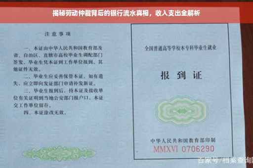揭秘劳动仲裁背后的银行流水真相，收入支出全解析