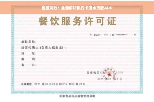 便捷高效！全面解析银行卡流水贷款APP
