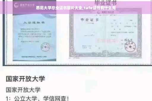 悉尼大学毕业证书图片大全,tafe证书有什么用