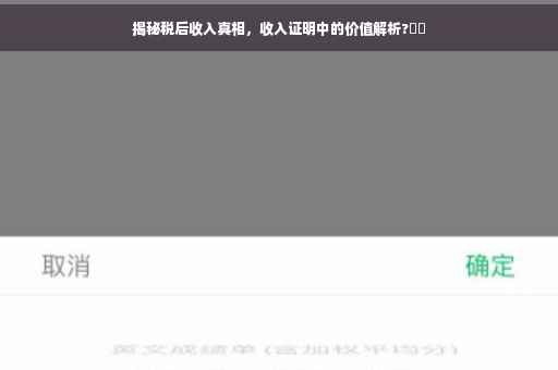 揭秘税后收入真相，收入证明中的价值解析?⚡️