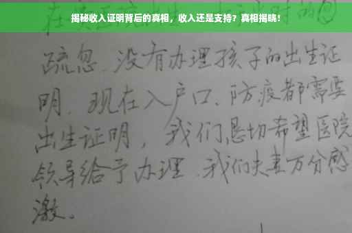 揭秘收入证明背后的真相，收入还是支持？真相揭晓！