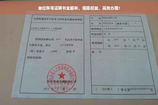 单位账号证明书全解析，保障权益，高效办理！