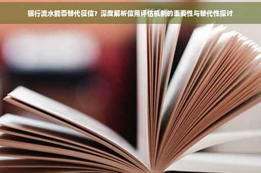银行流水能否替代征信？深度解析信用评估机制的重要性与替代性探讨