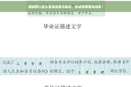 揭秘银行流水查询流程与耗时，快速掌握查询进度！