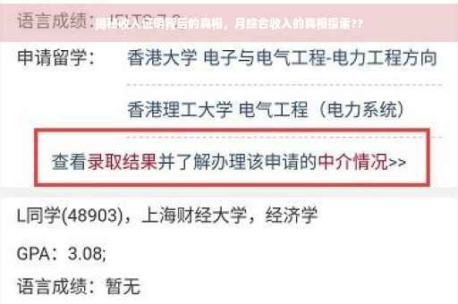 揭秘收入证明背后的真相，月综合收入的真相探索??