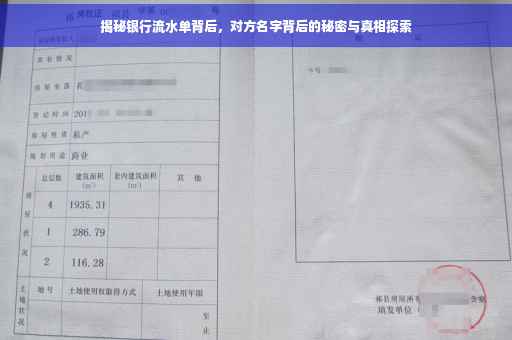 揭秘银行流水单背后，对方名字背后的秘密与真相探索