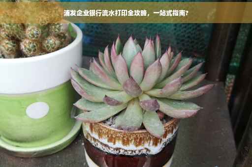 浦发企业银行流水打印全攻略，一站式指南?