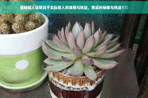 揭秘收入证明高于实际收入的真相与挑战，背后的秘密与挑战?⚡️