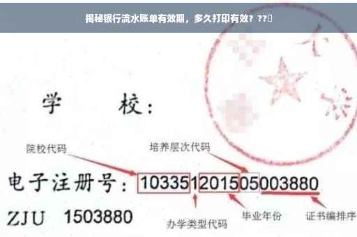 揭秘银行流水账单有效期，多久打印有效？??️