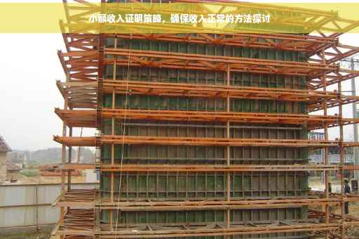 小额收入证明策略，确保收入正常的方法探讨