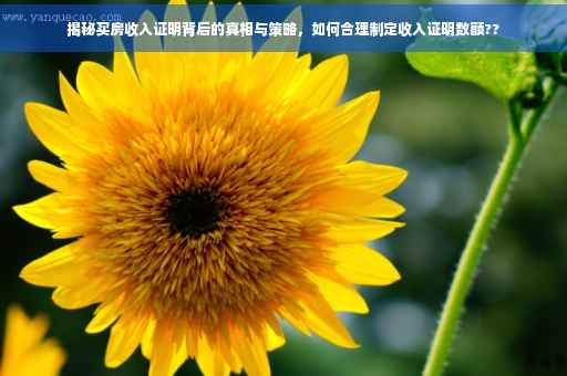 揭秘买房收入证明背后的真相与策略，如何合理制定收入证明数额??
