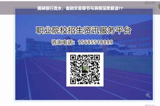 揭秘银行流水，金融交易细节与真相深度解读??