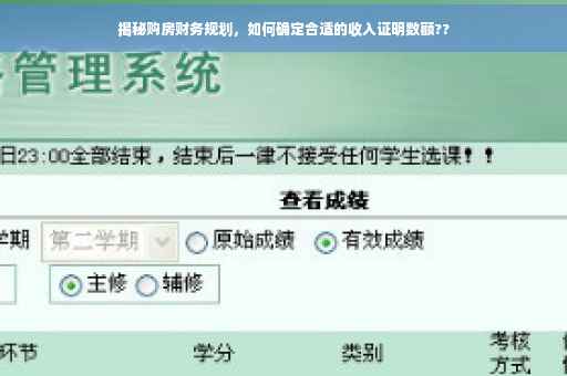 揭秘购房财务规划，如何确定合适的收入证明数额??