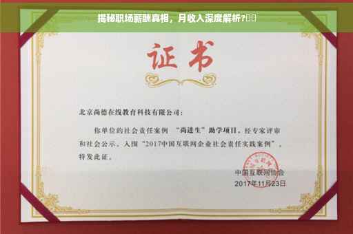揭秘职场薪酬真相，月收入深度解析?⚡️