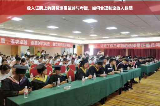 收入证明上的明智填写策略与考量，如何合理制定收入数额