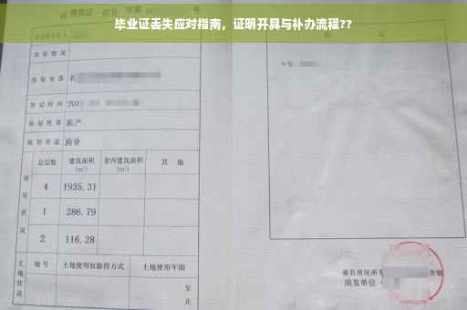 毕业证丢失应对指南，证明开具与补办流程??