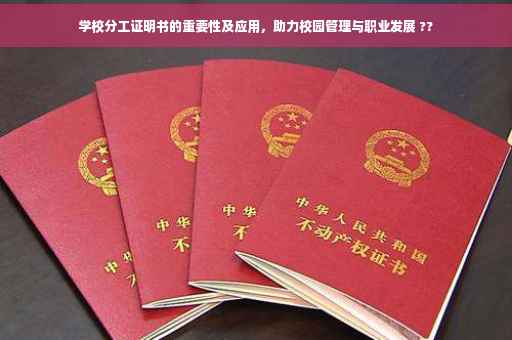 学校分工证明书的重要性及应用，助力校园管理与职业发展 ??