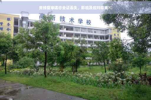 资格复审遇毕业证丢失，影响及应对指南?✨