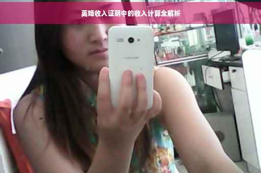 离婚收入证明中的收入计算全解析