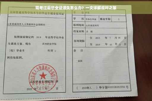司考过后毕业证遗失怎么办？一文详解应对之策
