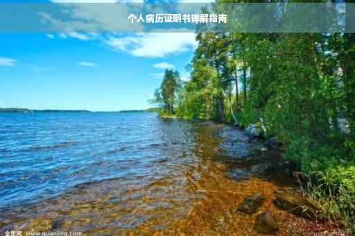个人病历证明书详解指南