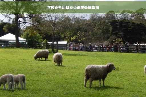 学校更名后毕业证遗失处理指南
