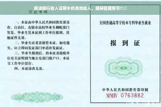 解读银行收入证明中的其他收入，揭秘隐藏细节?⚡️