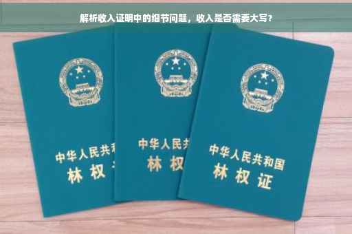 解析收入证明中的细节问题，收入是否需要大写？