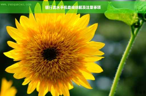 银行流水手机查询详解及注意事项