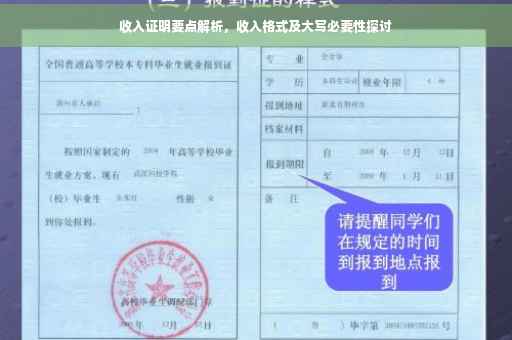 收入证明要点解析，收入格式及大写必要性探讨