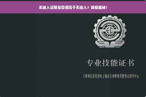 无收入证明是否等同于无收入？真相揭秘！