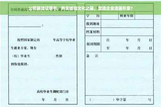公司廉洁证明书，夯实诚信文化之基，塑造企业清廉形象?