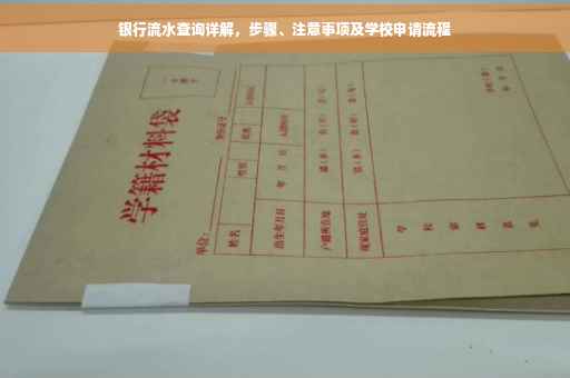 银行流水查询详解，步骤、注意事项及学校申请流程