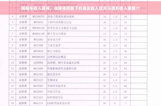 揭秘年收入真相，自媒体观察下的真实收入状况与提升收入策略??