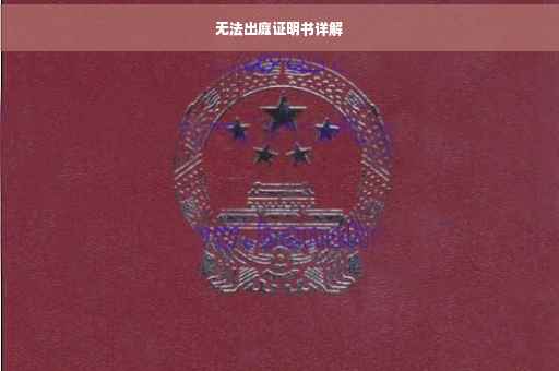 无法出庭证明书详解