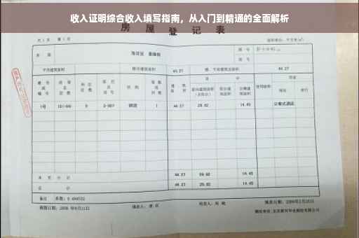收入证明综合收入填写指南，从入门到精通的全面解析