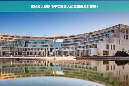 揭秘收入证明低于实际收入的真相与应对策略?