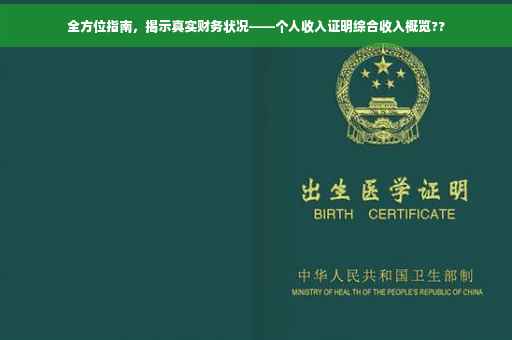 全方位指南，揭示真实财务状况——个人收入证明综合收入概览??