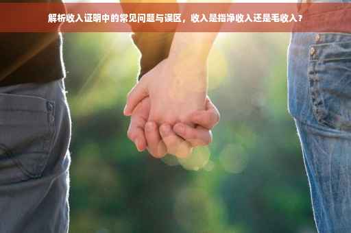 解析收入证明中的常见问题与误区，收入是指净收入还是毛收入？