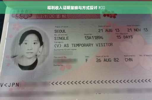 福利收入证明策略与方式探讨 ?⚡️