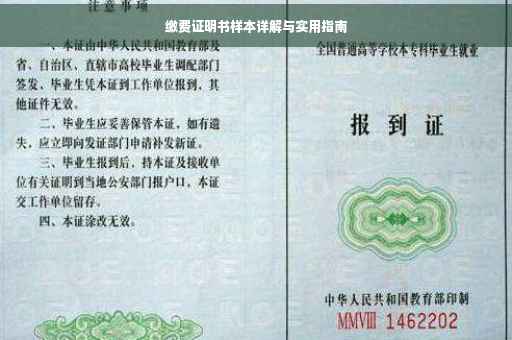缴费证明书样本详解与实用指南