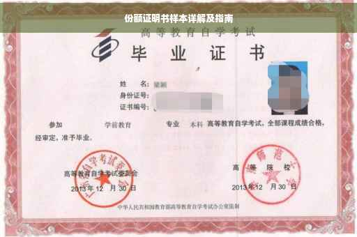 份额证明书样本详解及指南